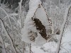 da ist wohl was schiefgegangen :-)